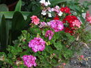 DSC02635