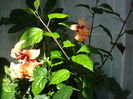 DSC02549