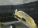 dscn4956