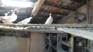 SAM_2347