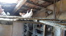 SAM_2349