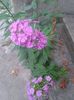 20150713_172642