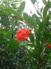20150713_172721