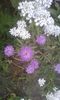 20150615_214050