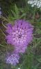 20150615_214057