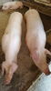 20150712_122358