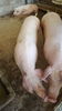 20150712_122355