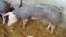 20150712_122229