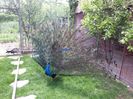 20150528_151825