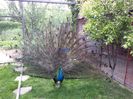 20150528_151833