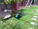 20150528_151903