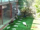 DSC00692