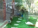 DSC00702