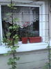 IMG_20150625_150510