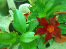 DSCN8252