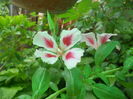 DSCN8255