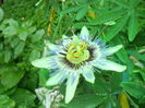 DSCN8256
