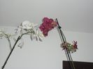 CIMG4955