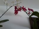 IMG_20140710_120036