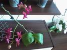 IMG_20140710_120157