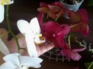 IMG_20140710_120227