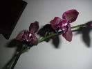 CIMG6458