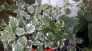 20150714_114035