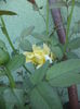 DSC04464
