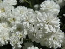 DSC02518