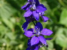 DSC02596