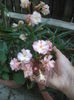 DSC04470