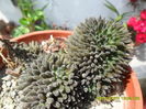 SAM_0470
