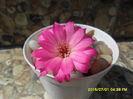 SAM_0478