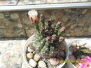 SAM_0479