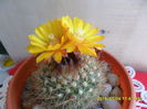 SAM_0512