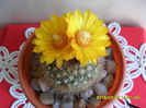 SAM_0513