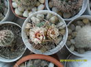 SAM_0519