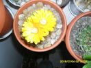 SAM_0521