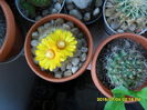 SAM_0523