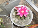 SAM_0526