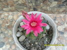 SAM_0527