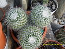 SAM_0539