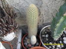 SAM_0540