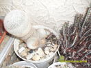 SAM_0541