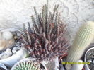 SAM_0543