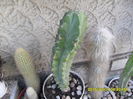 SAM_0544