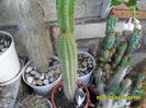 SAM_0545