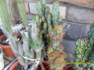 SAM_0546