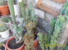SAM_0547