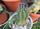 SAM_0548